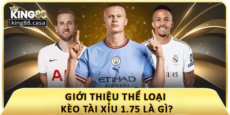 gioi-thieu-the-loai-keo-tai-xiu-1-75-la-gi