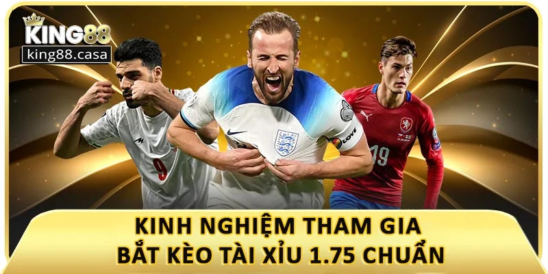 kinh-nghiem-tham-gia-bat-keo-tai-xiu-1-75-la-gi