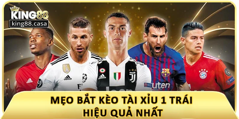 meo-bat-keo-tai-xiu-1-trai-la-gi-hieu-qua-nhat
