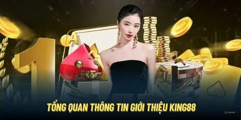 Tổng quan thông tin giới thiệu King88